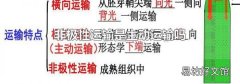 非极性运输是主动运输吗