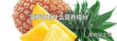 菠萝含有什么营养成分