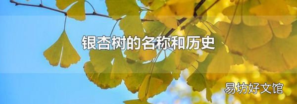 银杏树的名称和历史