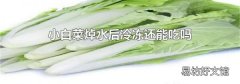 小白菜焯水后冷冻还能吃吗