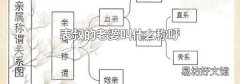 表叔的老婆叫什么称呼