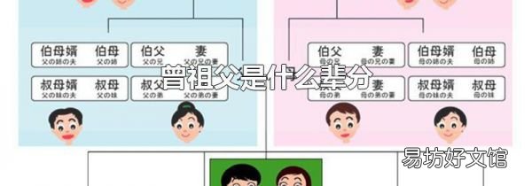 曾祖父是什么辈分