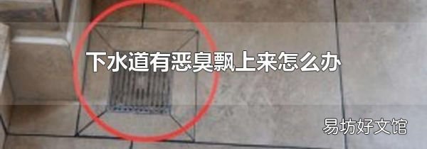 下水道有恶臭飘上来怎么办
