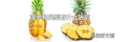 菠萝和凤梨有什么区别