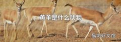 黄羊是什么动物