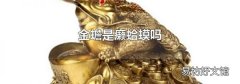 金蟾是癞蛤蟆吗