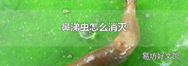 鼻涕虫怎么消灭