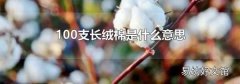 100支长绒棉是什么意思