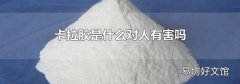 卡拉胶是什么对人有害吗
