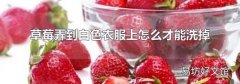 草莓弄到白色衣服上怎么才能洗掉