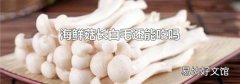 海鲜菇长白毛还能吃吗