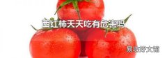 西红柿天天吃有危害吗