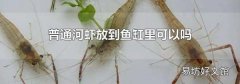 普通河虾放到鱼缸里可以吗