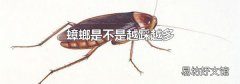 蟑螂是不是越踩越多