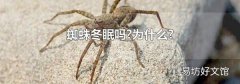 蜘蛛冬眠吗?为什么?