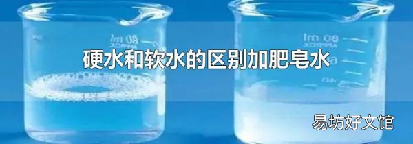 硬水和软水的区别加肥皂水