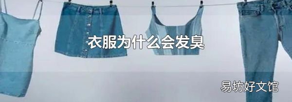 衣服为什么会发臭