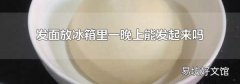 发面放冰箱里一晚上能发起来吗