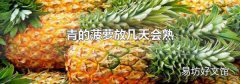 青的菠萝放几天会熟