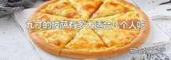 九寸的披萨有多大适合几个人吃