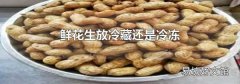 鲜花生放冷藏还是冷冻