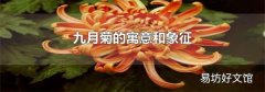 九月菊的寓意和象征
