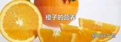橙子的营养
