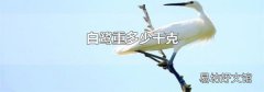 白鹭重多少千克