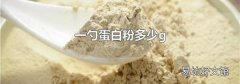 一勺蛋白粉多少g