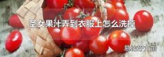 圣女果汁弄到衣服上怎么洗掉