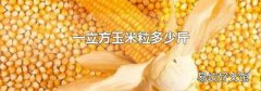 一立方玉米粒多少斤