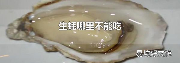 生蚝哪里不能吃