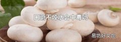 口蘑不焯水会中毒吗