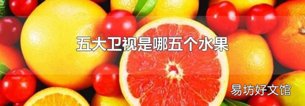 五大卫视是哪五个水果