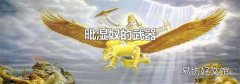 毗湿奴的武器