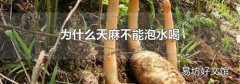 为什么天麻不能泡水喝