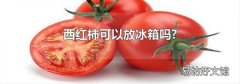 西红柿可以放冰箱吗?
