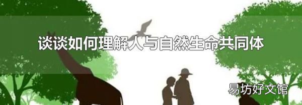 谈谈如何理解人与自然生命共同体