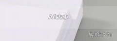 A1大小