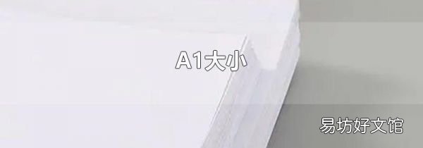 A1大小