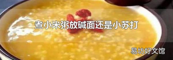 煮小米粥放碱面还是小苏打