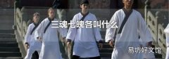 三魂七魄各叫什么