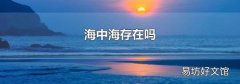 海中海存在吗