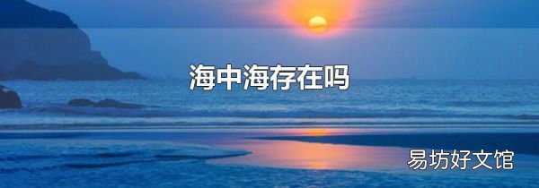 海中海存在吗