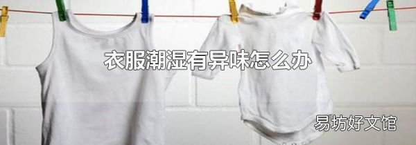 衣服潮湿有异味怎么办