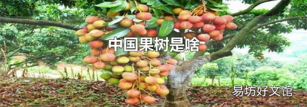 中国果树是啥