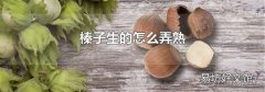 榛子生的怎么弄熟