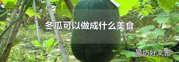 冬瓜可以做成什么美食
