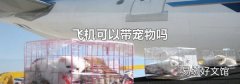 飞机可以带宠物吗