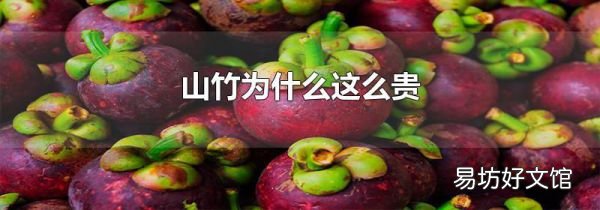 山竹为什么这么贵